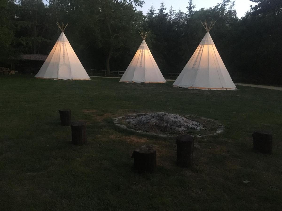 ホテル Domaine De Carnin Beloeil エクステリア 写真